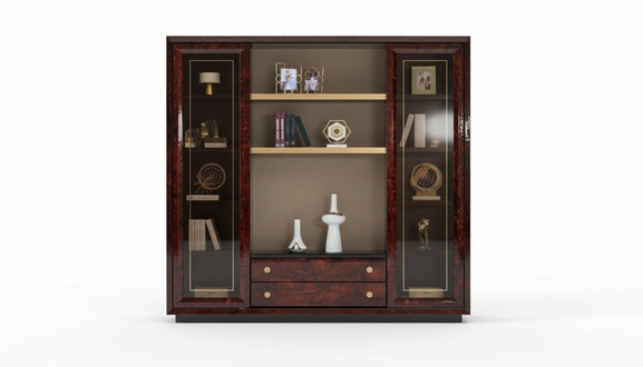 Design Schrank BÃ¼cherschrank Vitrine Aktenregal Office Einrichtung Regal